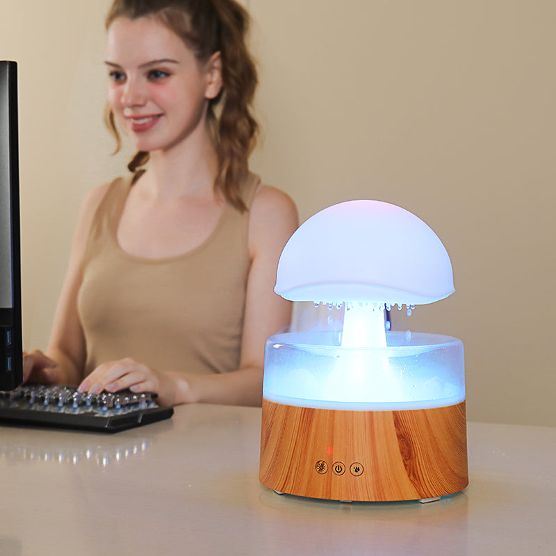 New Rain Cloud Humidifier