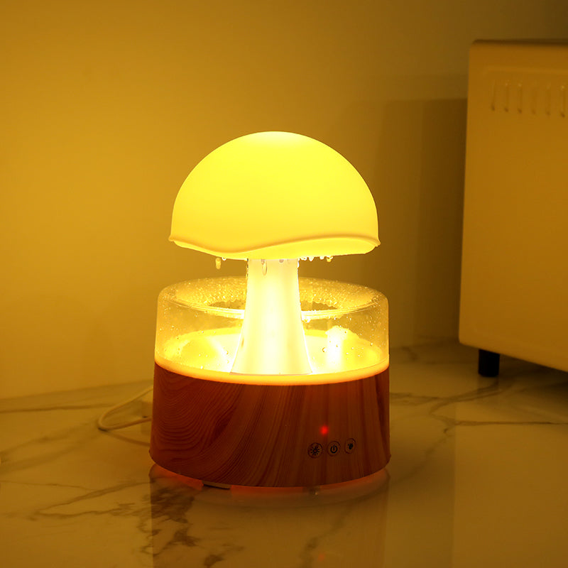 New Rain Cloud Humidifier