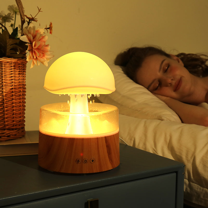 New Rain Cloud Humidifier