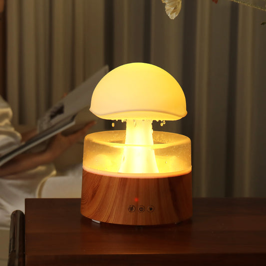 New Rain Cloud Humidifier